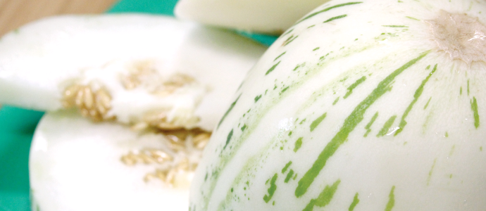 Snow Leopard Melons
